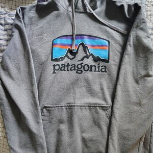 Patagonia Gray Hoodie for Men 💯Great Condition